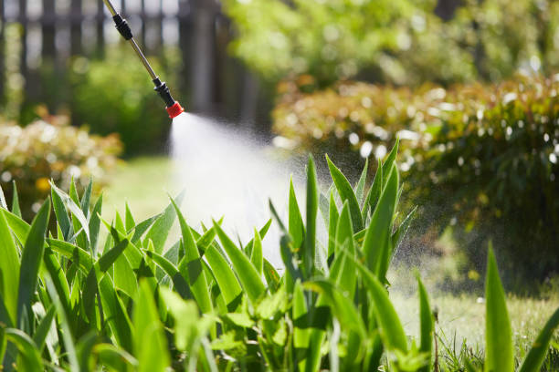 24/7 Emergency Wasp Removal experts in Maben, MS