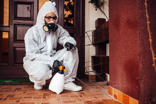 Reliable Wasp Removal contractor in Maben, MS by Show Me Pest Control